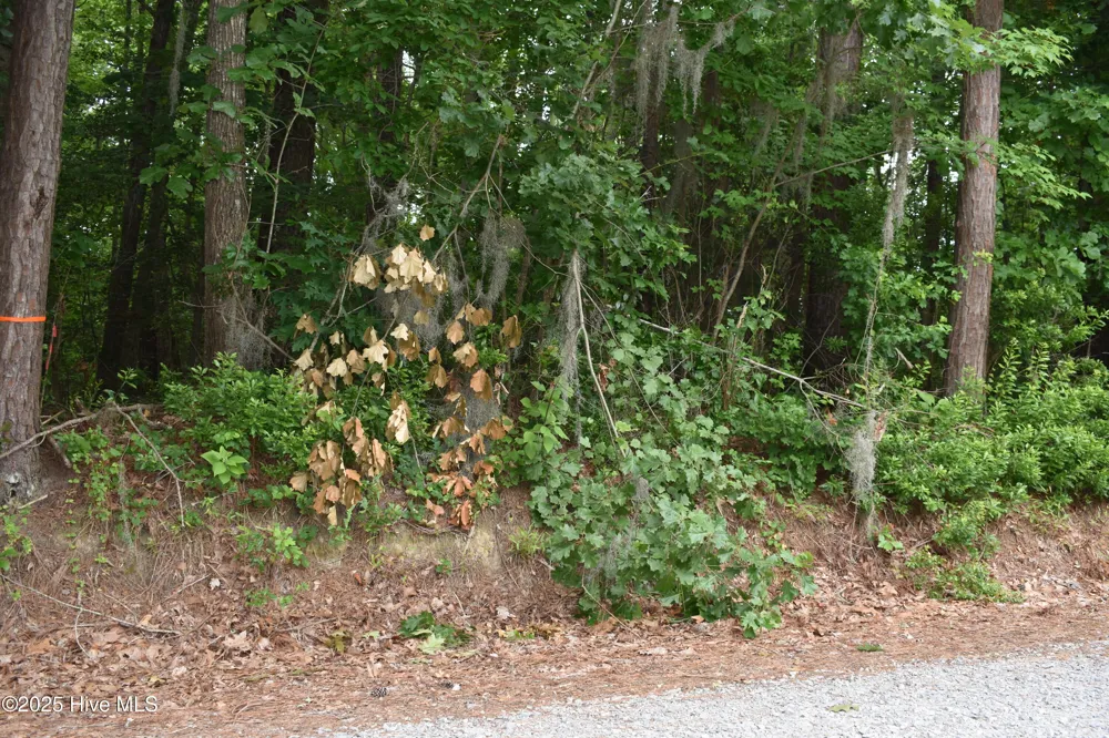 Lots 2 & 3 River Road Blounts Creek, NC 27814