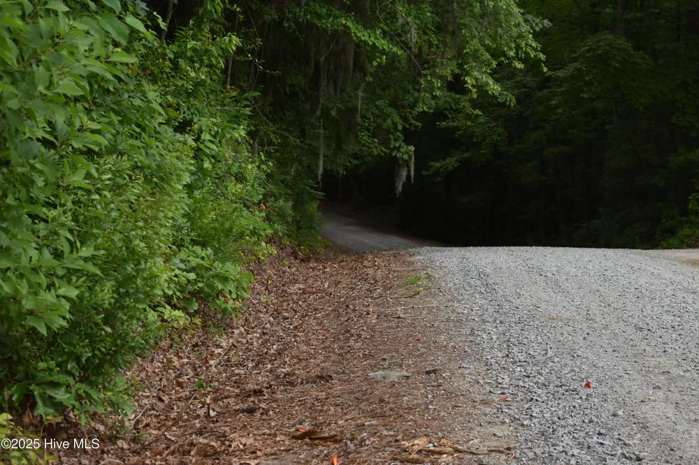 Lots 2 & 3 River Road Blounts Creek, NC 27814