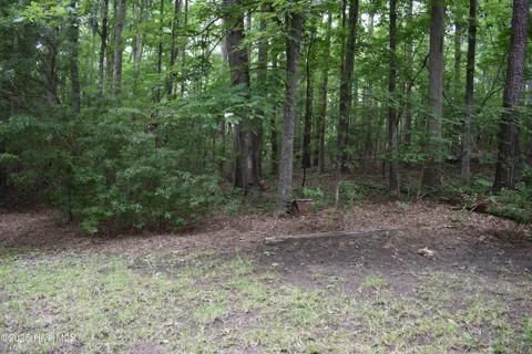Lot 6 River Road