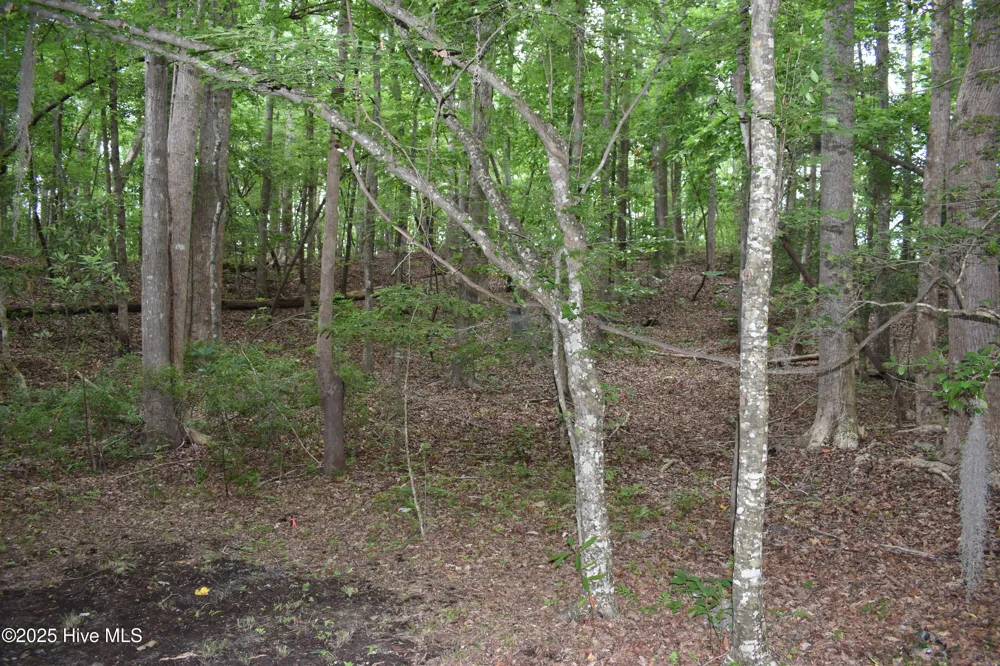 Lot 6 River Road Blounts Creek, NC 27814