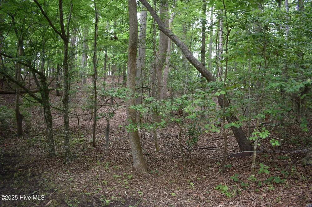 Lot 6 River Road Blounts Creek, NC 27814