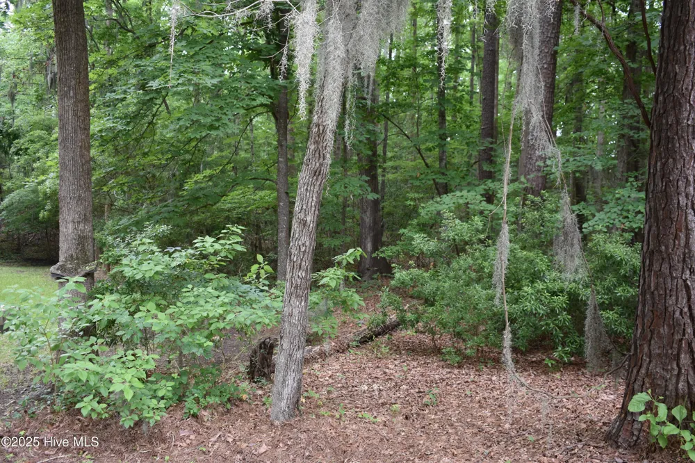 Lot 6 River Road Blounts Creek, NC 27814