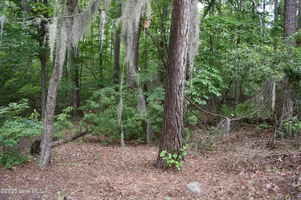 Lot 6 River Road Blounts Creek, NC 27814