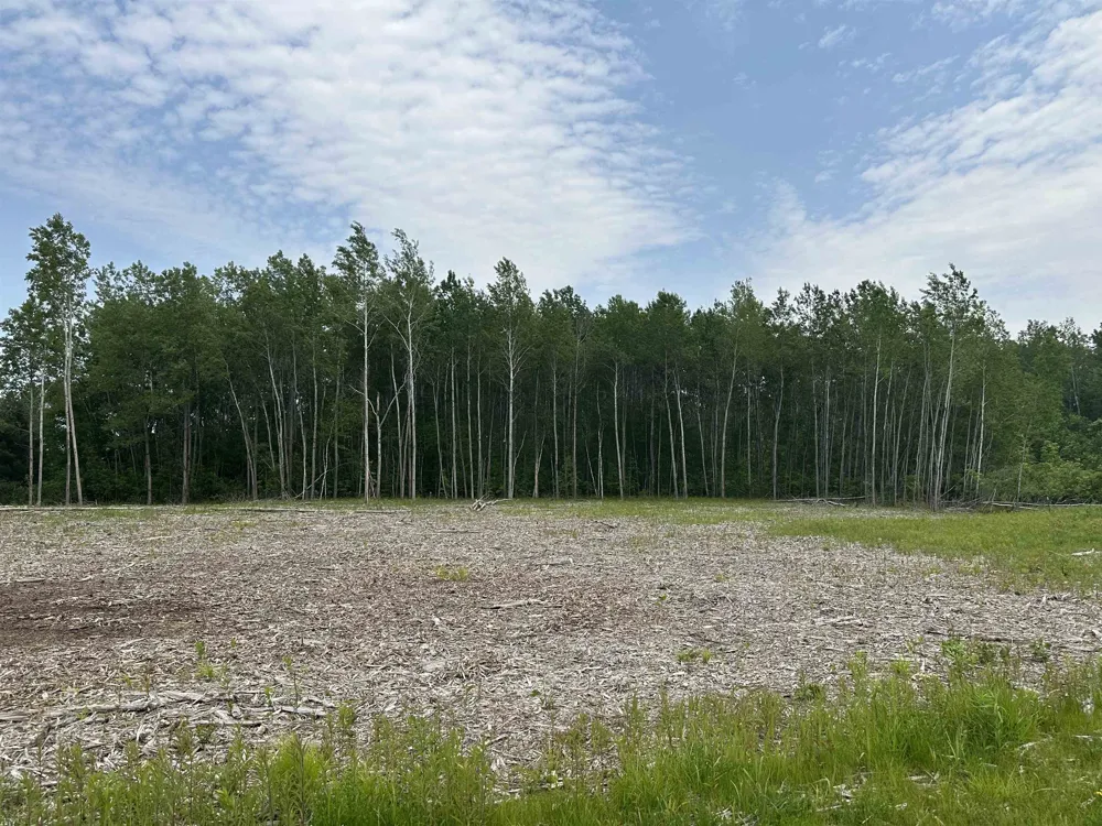 S Huron Lincoln Township, MI 48658