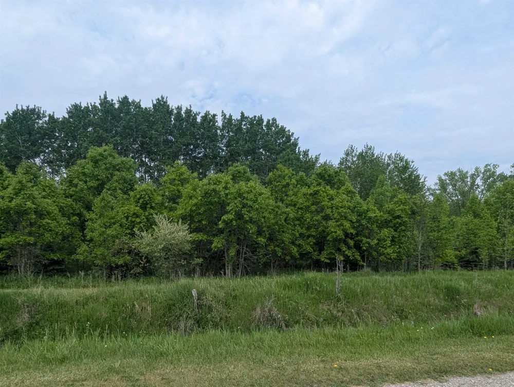 Twining Road Whitney Township, MI 48703