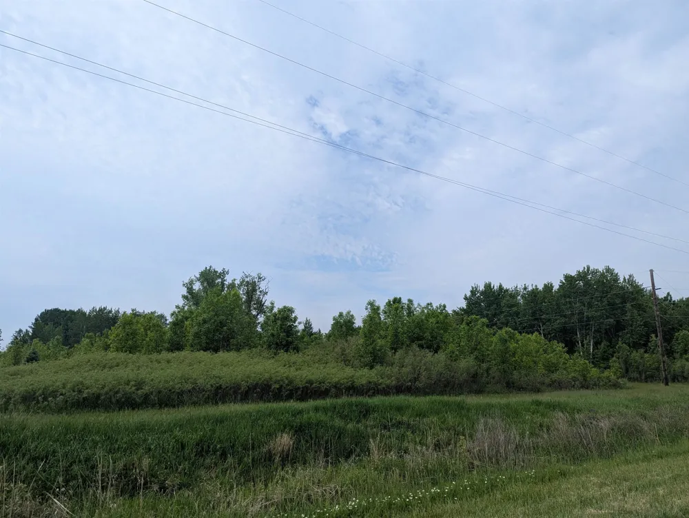 Twining Road Whitney Township, MI 48703