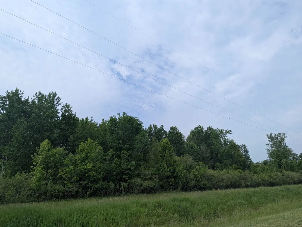 Twining Road Whitney Township, MI 48703