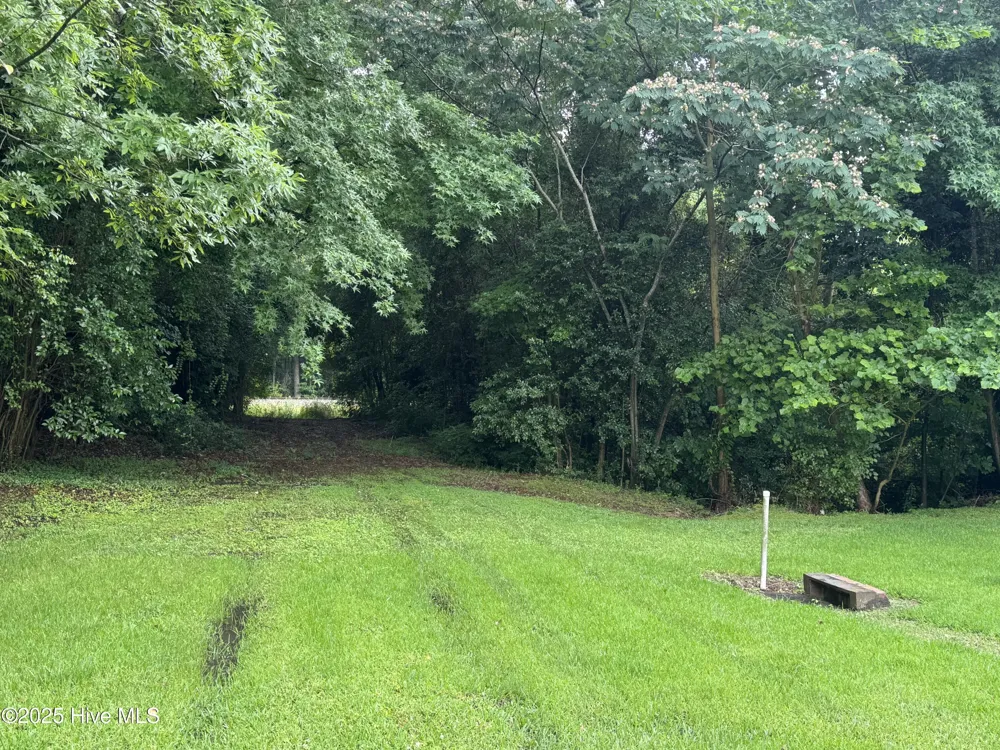 7569 Carey Road Kinston, NC 28504
