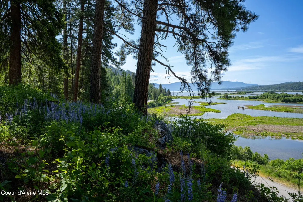 238 Black Sheep Road Hope, ID 83836