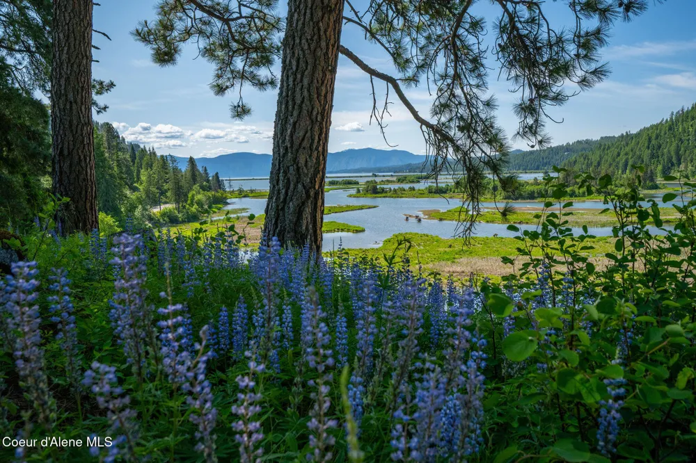 238 Black Sheep Road Hope, ID 83836