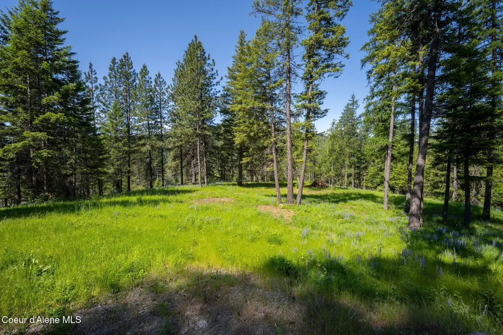 238 Black Sheep Road Hope, ID 83836