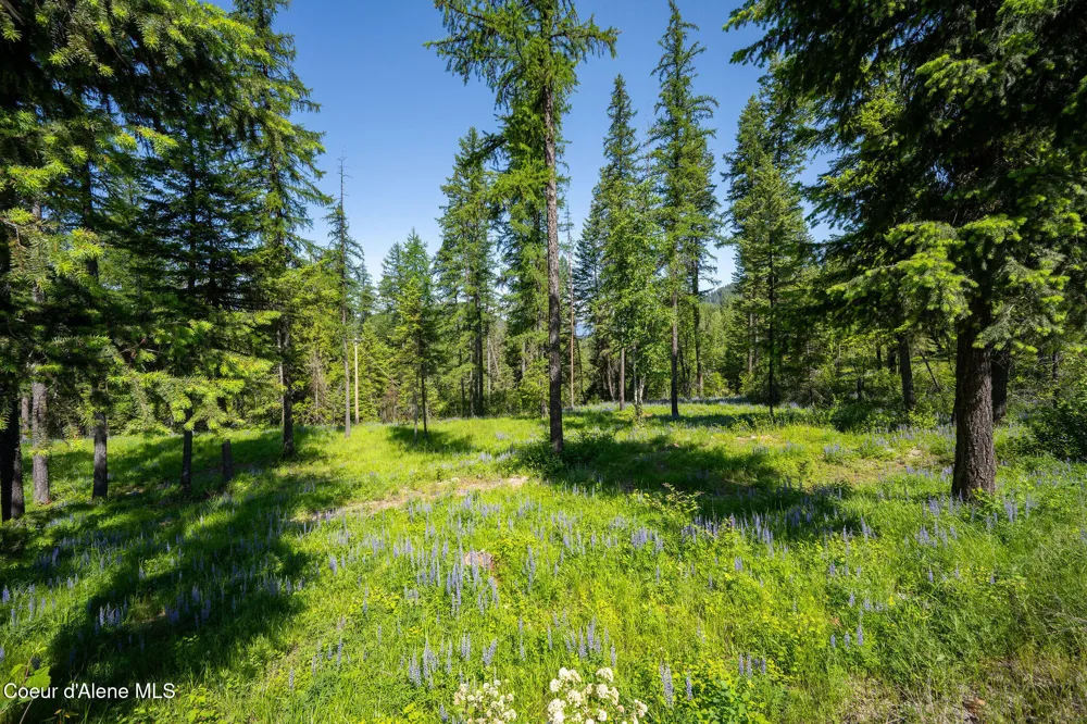 238 Black Sheep Road Hope, ID 83836