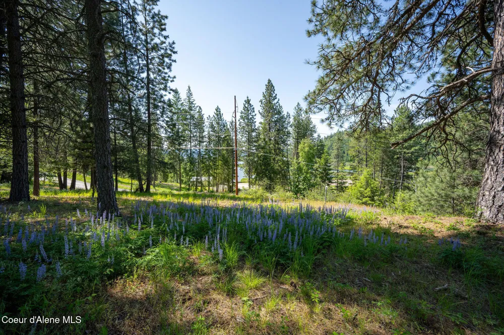 238 Black Sheep Road Hope, ID 83836