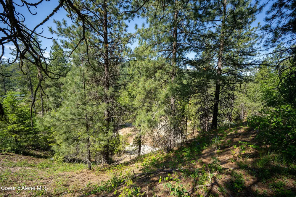 238 Black Sheep Road Hope, ID 83836