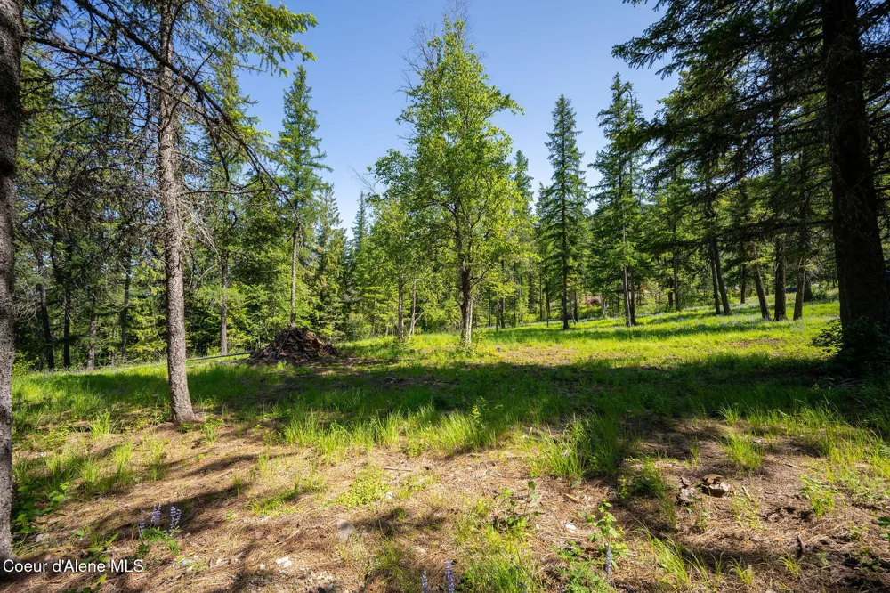 238 Black Sheep Road Hope, ID 83836