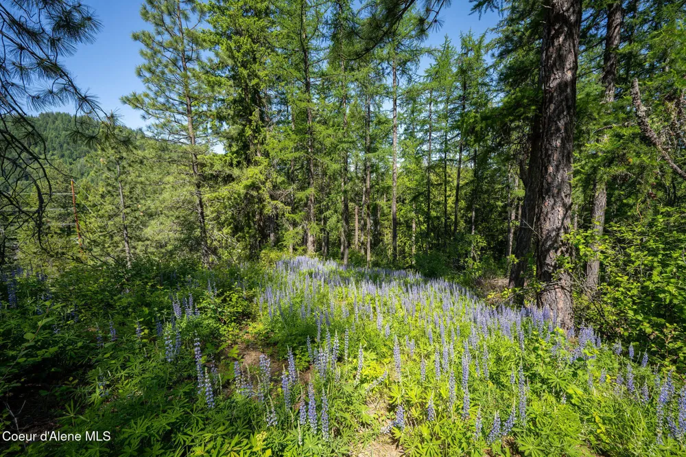 238 Black Sheep Road Hope, ID 83836