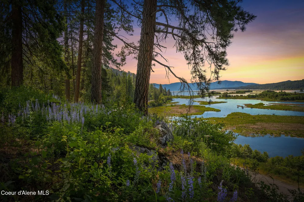 238 Black Sheep Road Hope, ID 83836