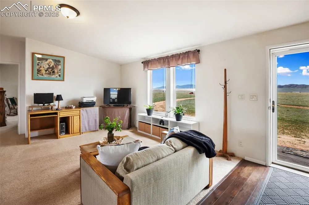 463 Snowshoe Lane Lake George, CO 80827