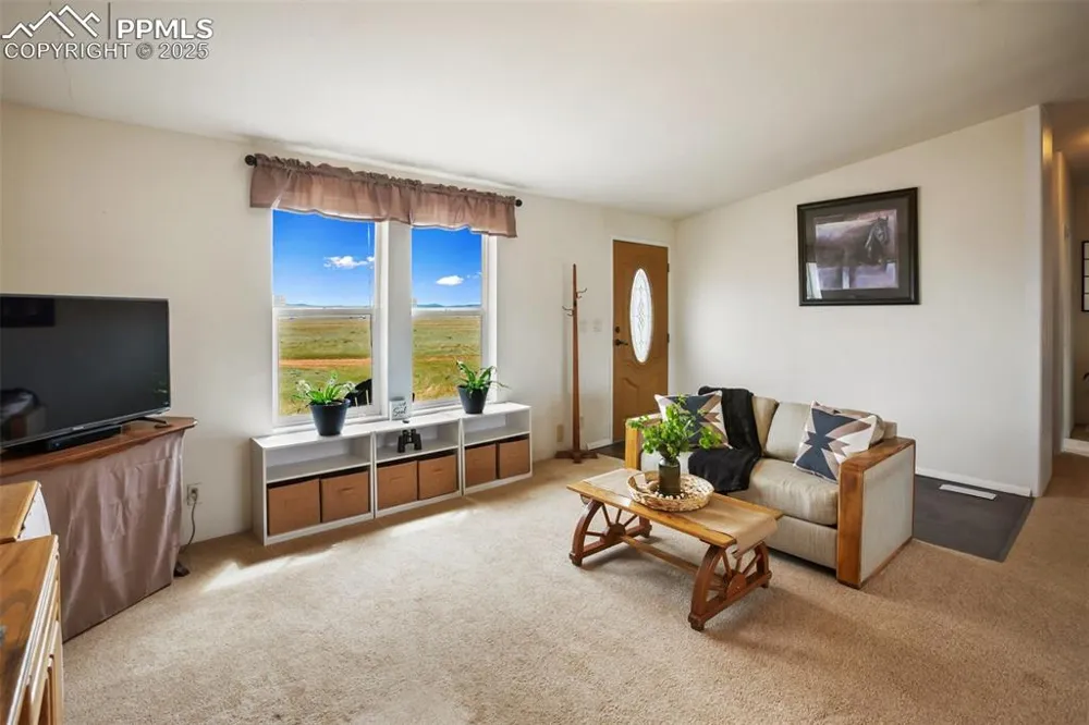 463 Snowshoe Lane Lake George, CO 80827