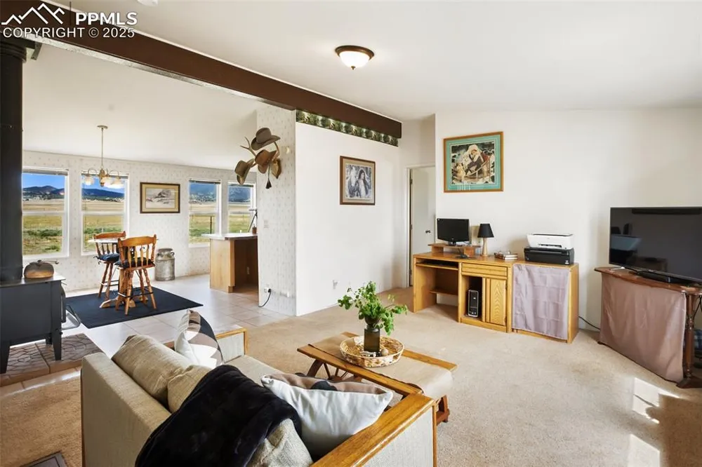 463 Snowshoe Lane Lake George, CO 80827
