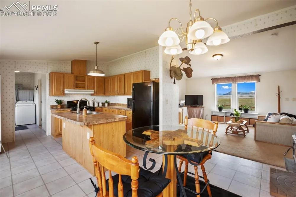 463 Snowshoe Lane Lake George, CO 80827
