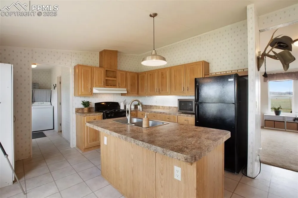 463 Snowshoe Lane Lake George, CO 80827