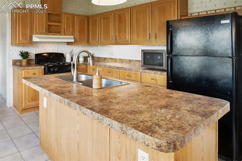 463 Snowshoe Lane Lake George, CO 80827