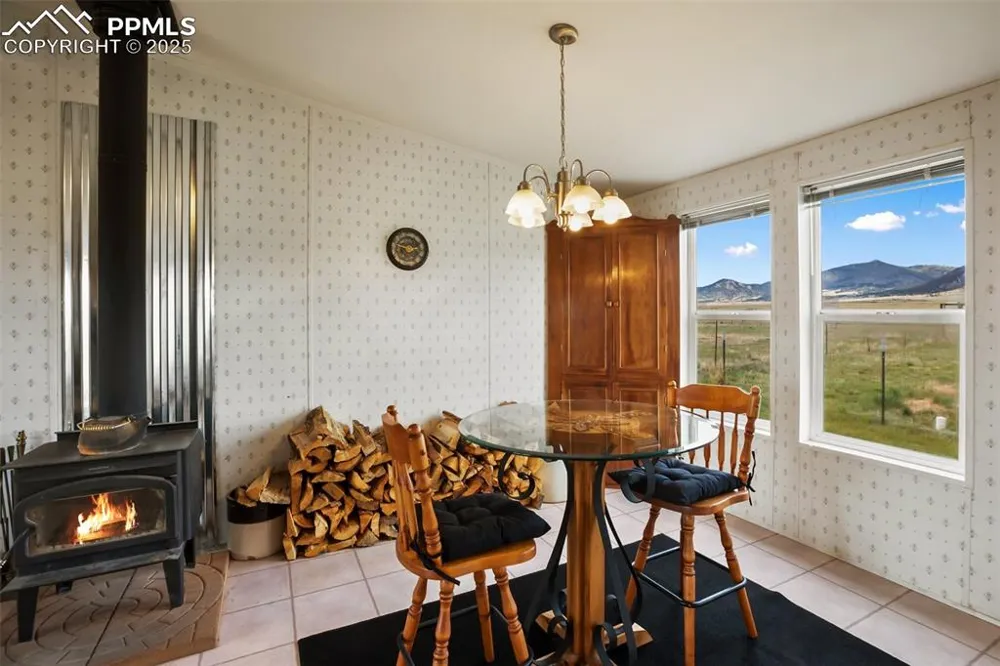 463 Snowshoe Lane Lake George, CO 80827