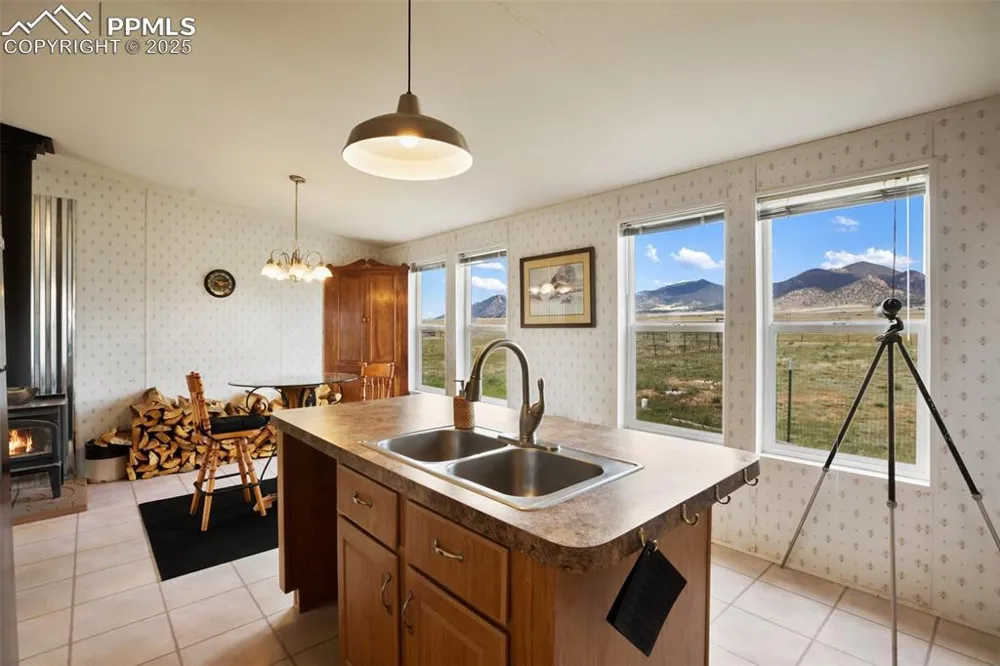 463 Snowshoe Lane Lake George, CO 80827