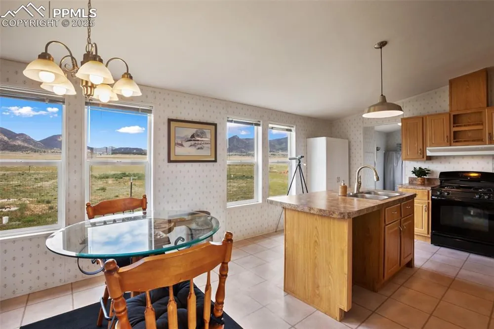 463 Snowshoe Lane Lake George, CO 80827
