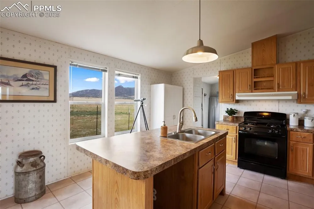 463 Snowshoe Lane Lake George, CO 80827