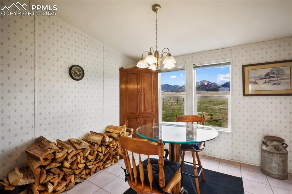 463 Snowshoe Lane Lake George, CO 80827