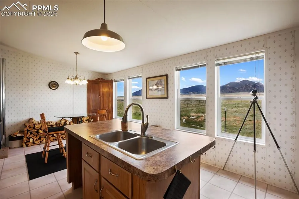 463 Snowshoe Lane Lake George, CO 80827