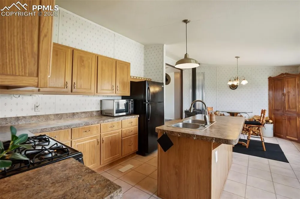 463 Snowshoe Lane Lake George, CO 80827