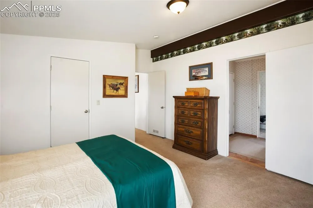 463 Snowshoe Lane Lake George, CO 80827
