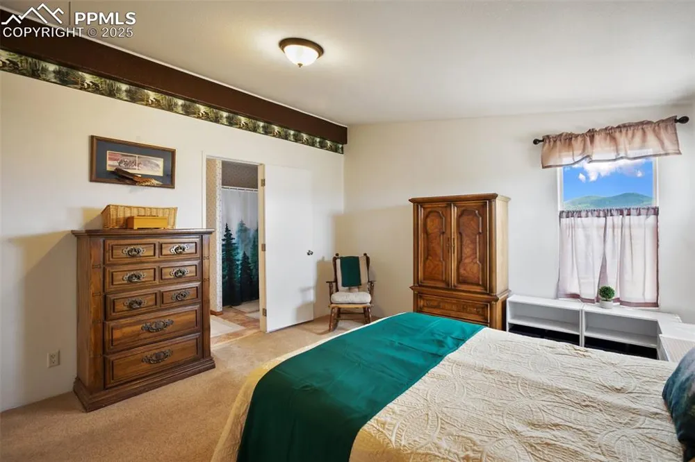 463 Snowshoe Lane Lake George, CO 80827