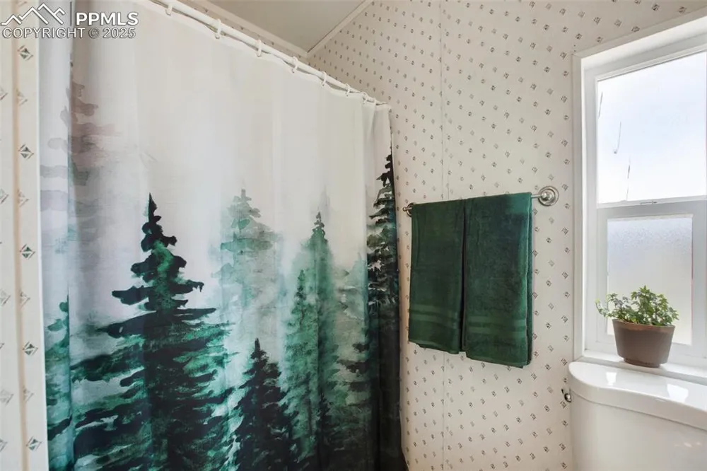 463 Snowshoe Lane Lake George, CO 80827