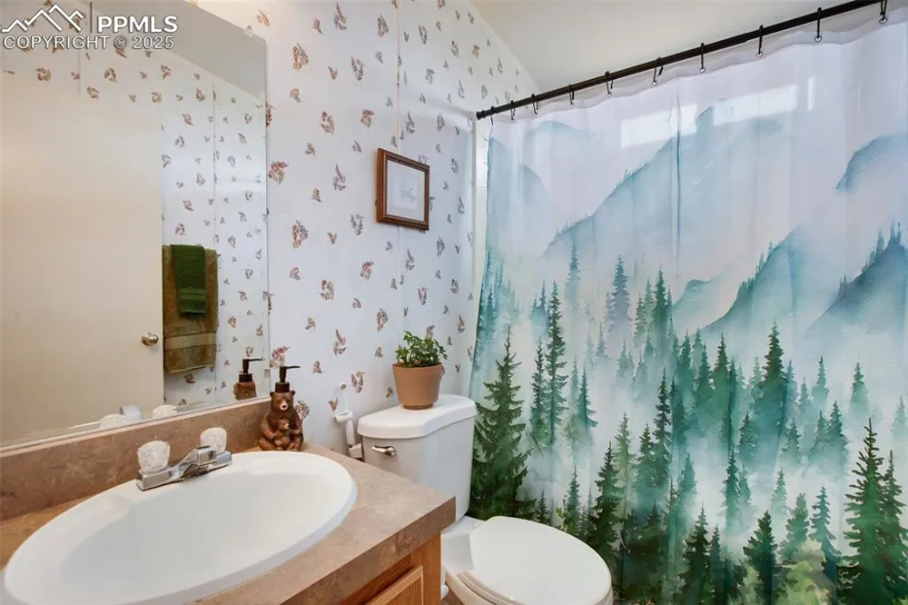 463 Snowshoe Lane Lake George, CO 80827