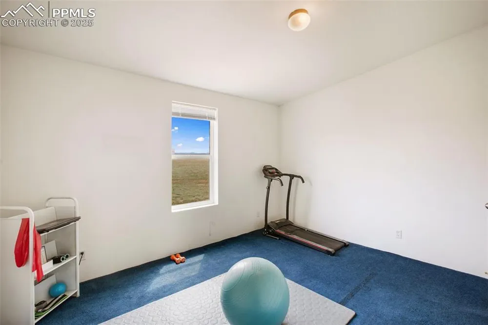 463 Snowshoe Lane Lake George, CO 80827