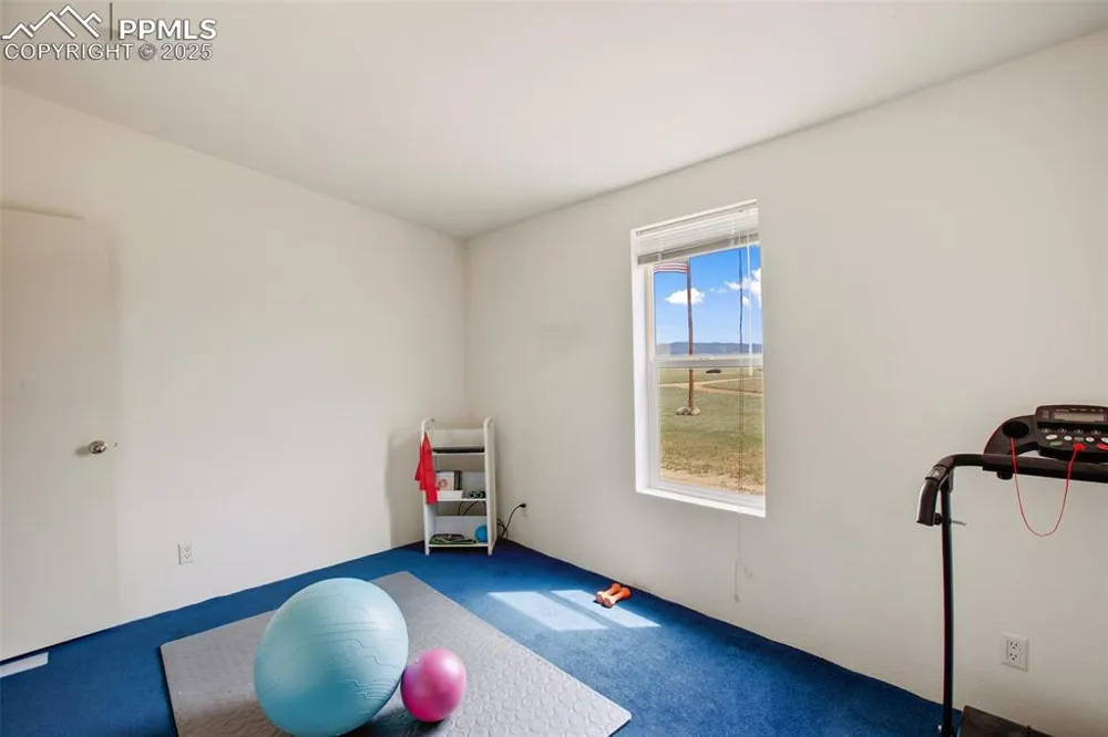 463 Snowshoe Lane Lake George, CO 80827