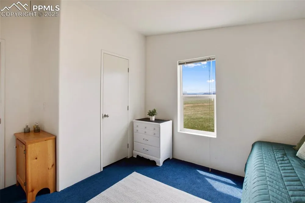 463 Snowshoe Lane Lake George, CO 80827