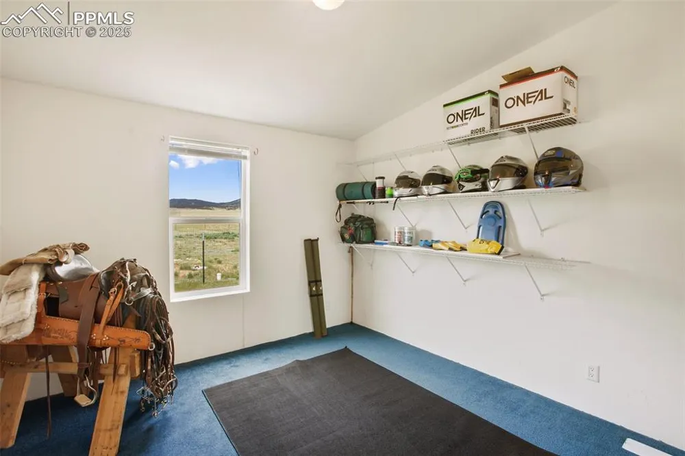 463 Snowshoe Lane Lake George, CO 80827