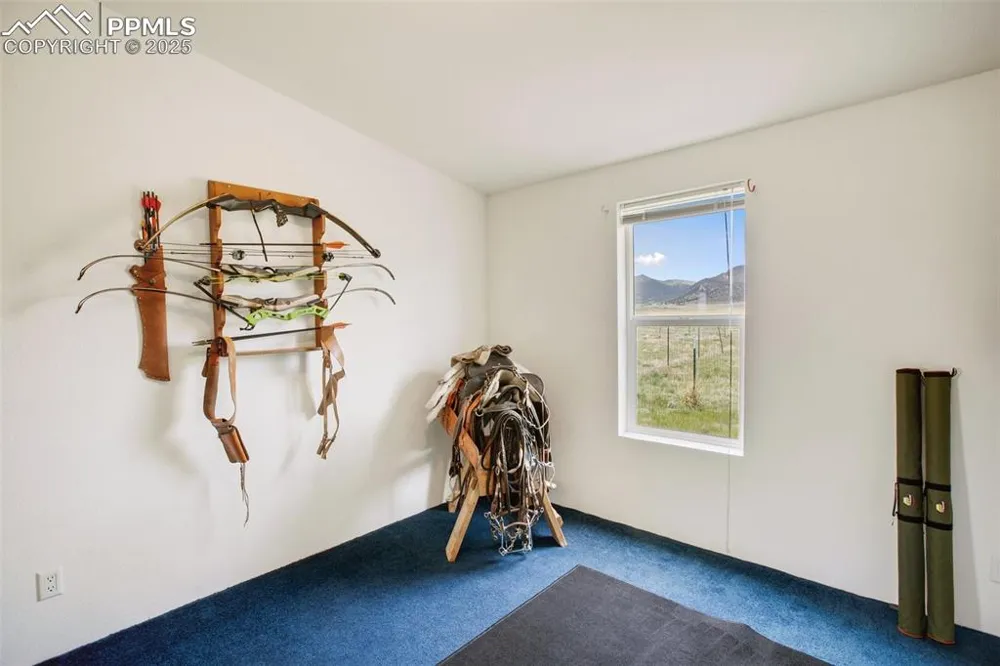 463 Snowshoe Lane Lake George, CO 80827