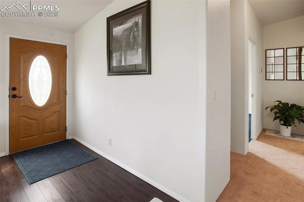 463 Snowshoe Lane Lake George, CO 80827