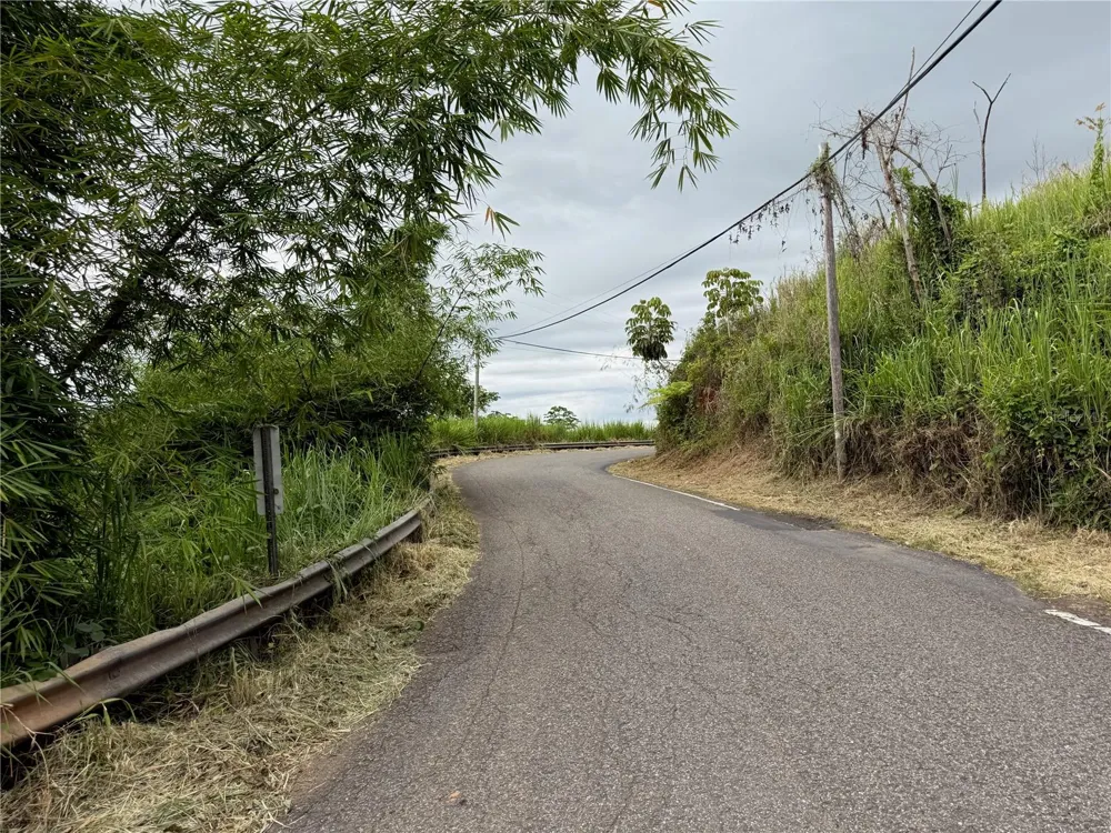SR-108 KM 11.3 CAMINO ALDEBOL SECTOR PABLO DIAZ BARRIO LEGUIZAMO Mayaguez, PR 00680