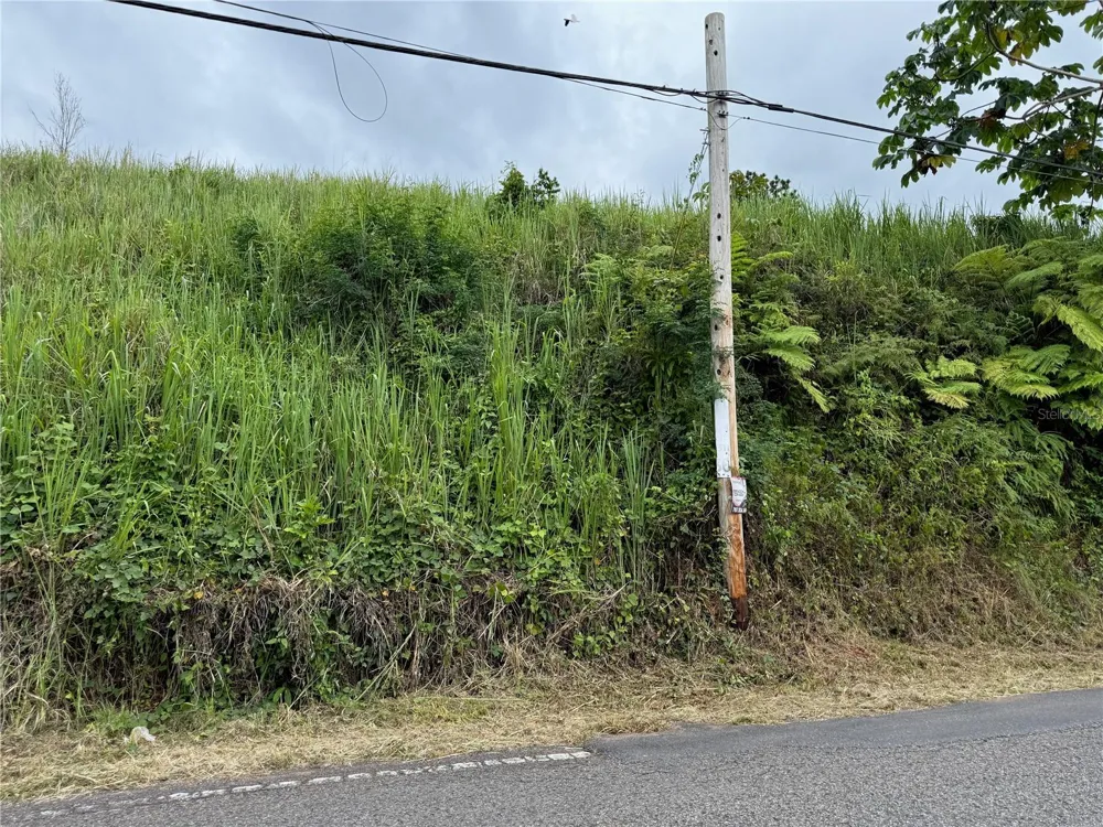 SR-108 KM 11.3 CAMINO ALDEBOL SECTOR PABLO DIAZ BARRIO LEGUIZAMO Mayaguez, PR 00680
