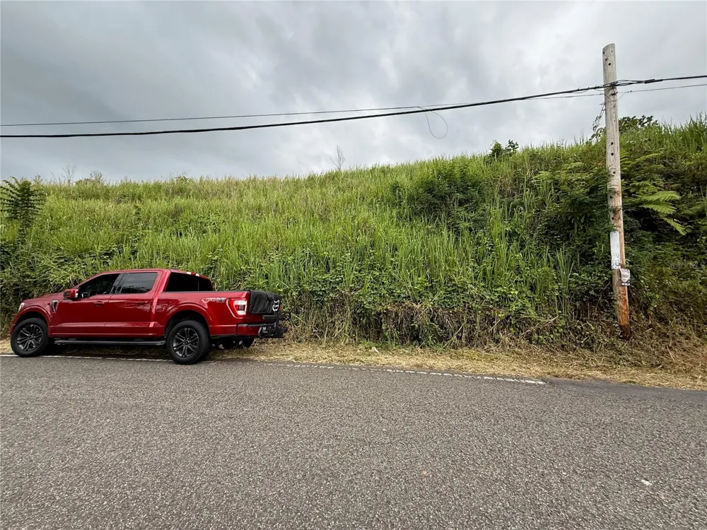 SR-108 KM 11.3 CAMINO ALDEBOL SECTOR PABLO DIAZ BARRIO LEGUIZAMO Mayaguez, PR 00680