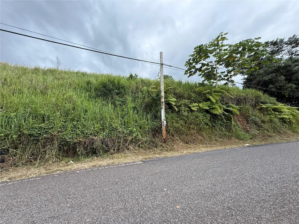 SR-108 KM 11.3 CAMINO ALDEBOL SECTOR PABLO DIAZ BARRIO LEGUIZAMO Mayaguez, PR 00680