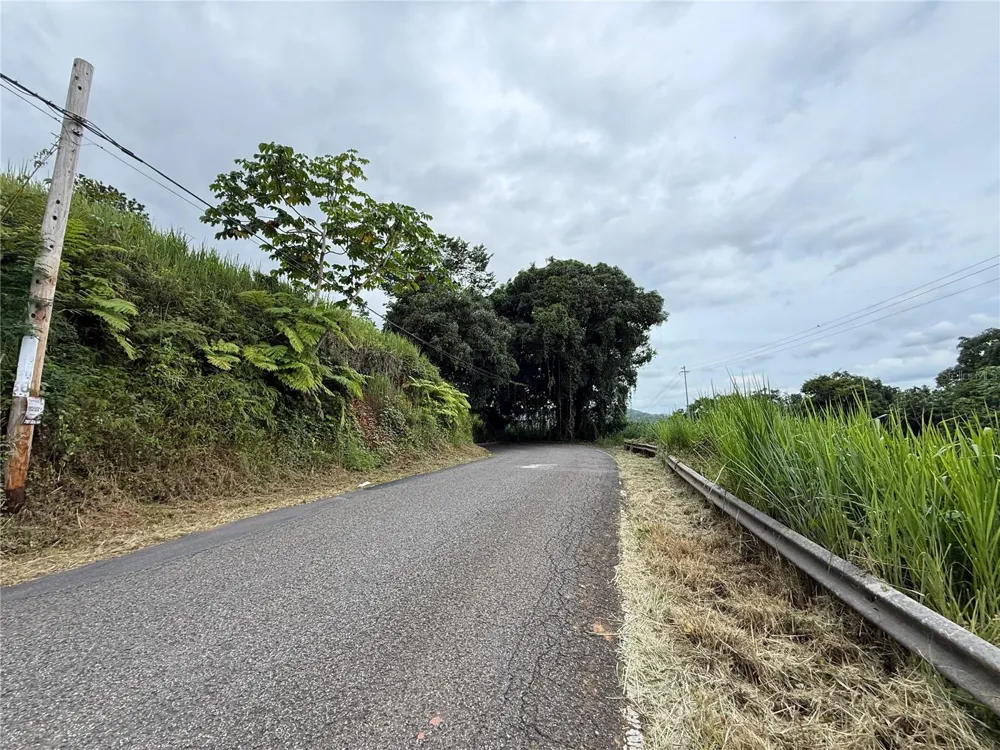 SR-108 KM 11.3 CAMINO ALDEBOL SECTOR PABLO DIAZ BARRIO LEGUIZAMO Mayaguez, PR 00680