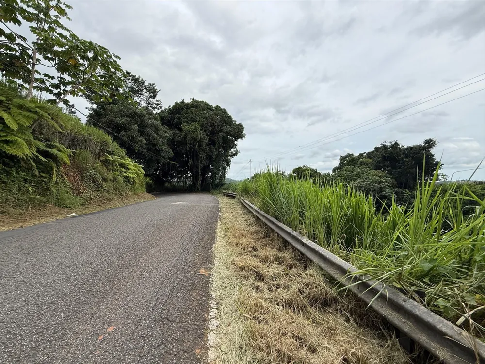 SR-108 KM 11.3 CAMINO ALDEBOL SECTOR PABLO DIAZ BARRIO LEGUIZAMO Mayaguez, PR 00680